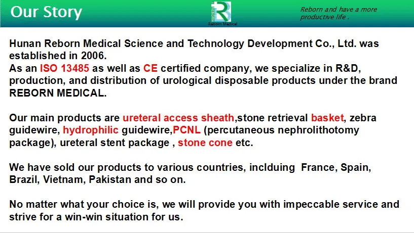 Ureteral Dilator View 3