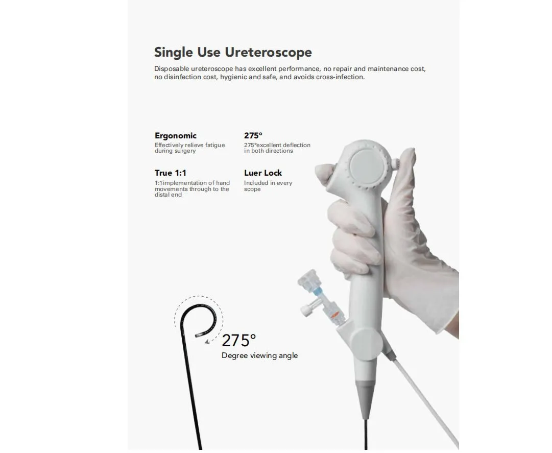 Flexible Ureteroscope View 2