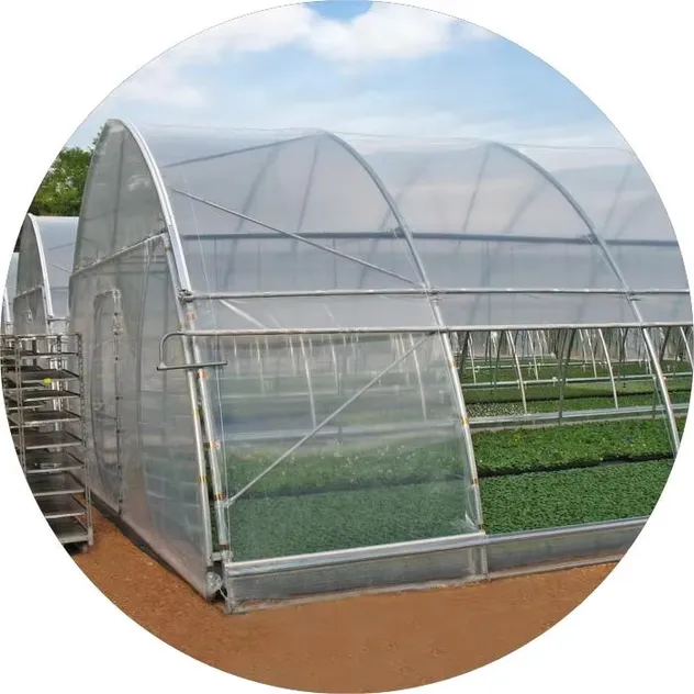 Greenhouse Part 3