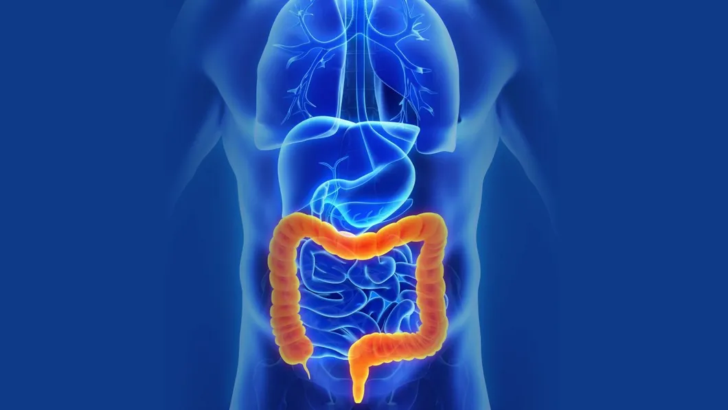 Respiratory application