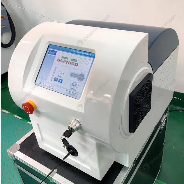 Laser Slimming Detail 1