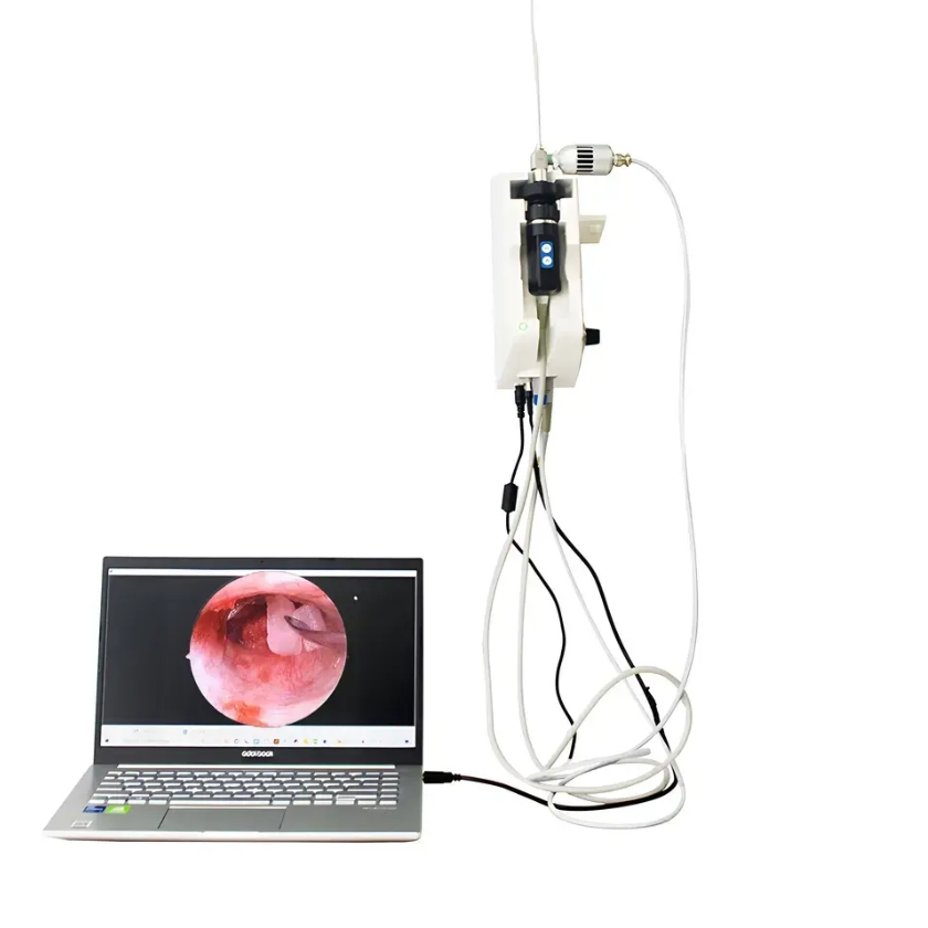 Hot Sell Animal &amp; Veterinary Wall Mounted Endoscope System for Anesthesiology/ICU/Respiratory Low Price