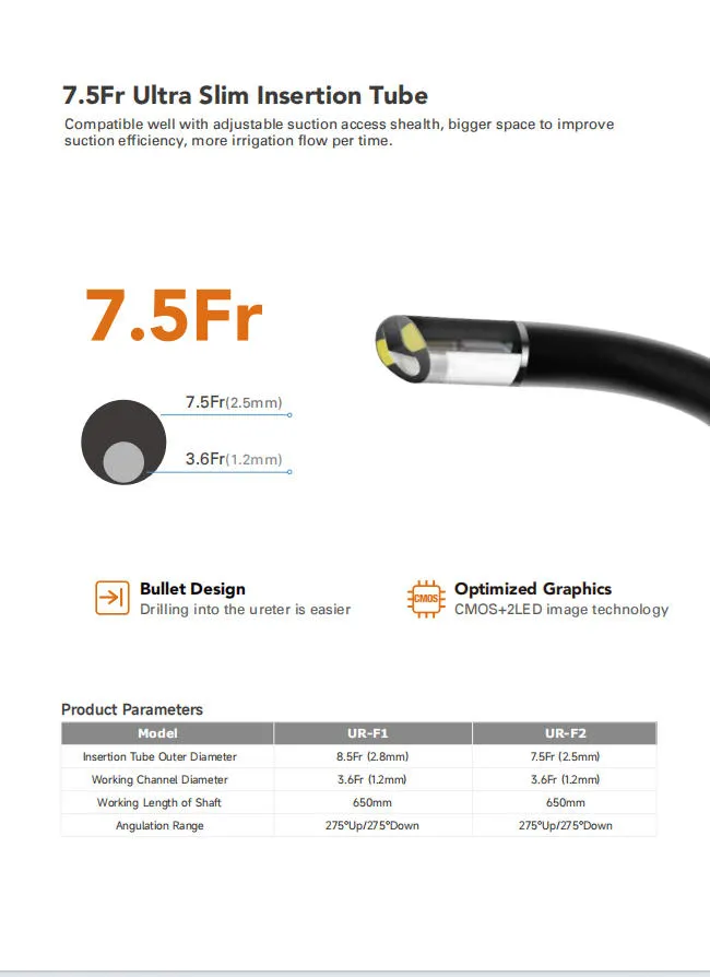 Flexible Ureteroscope View 3