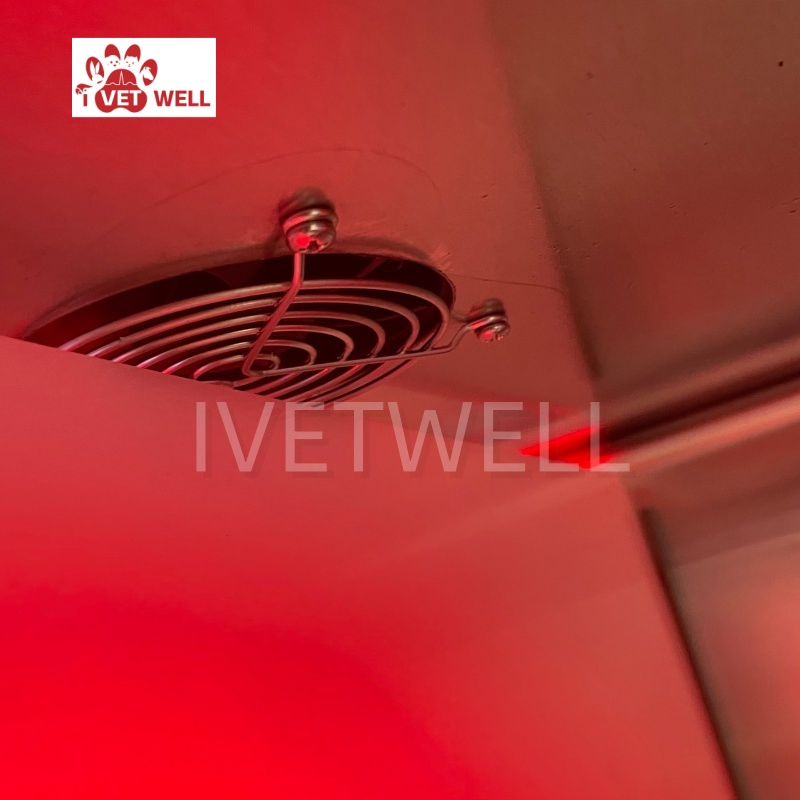 High-Quality Veterinary ICU Systems for Enhanced Animal Recovery