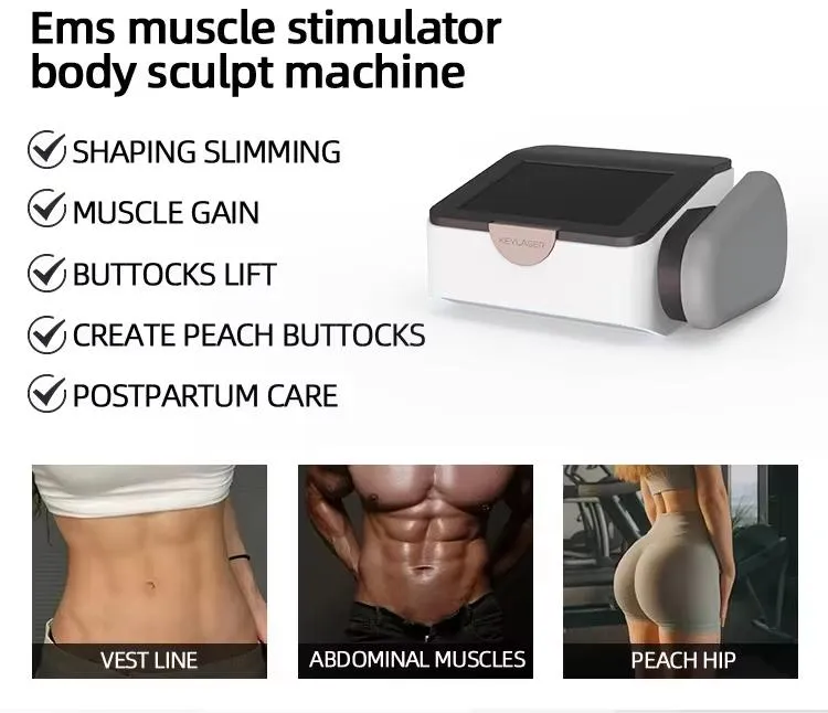 EMS Muscle Building Theory