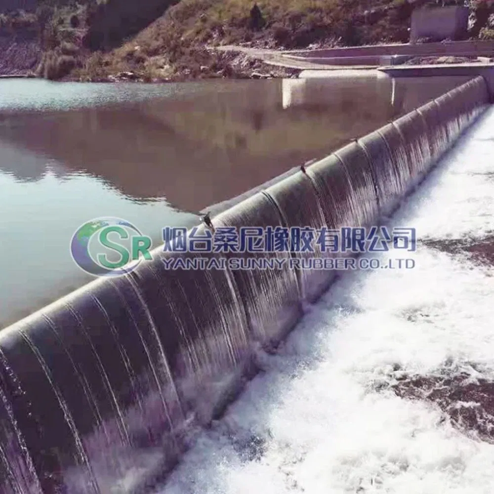 Ecological Air Bladder Support Gate The River Ecological Management Project