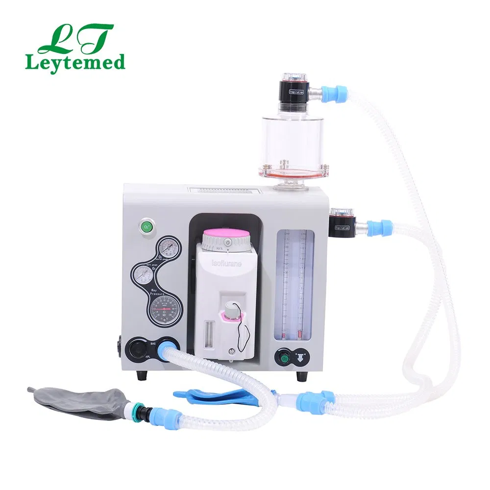 Anesthesia Details 1