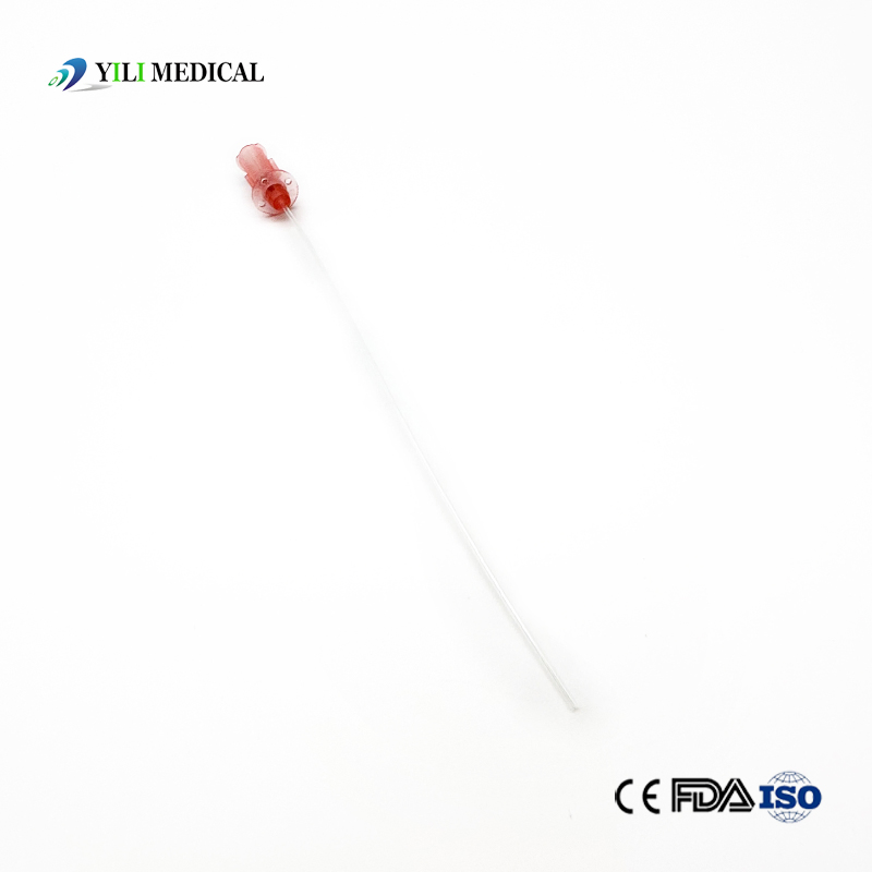 Veterinary Catheters: Reliable Urinary Solutions for Pets