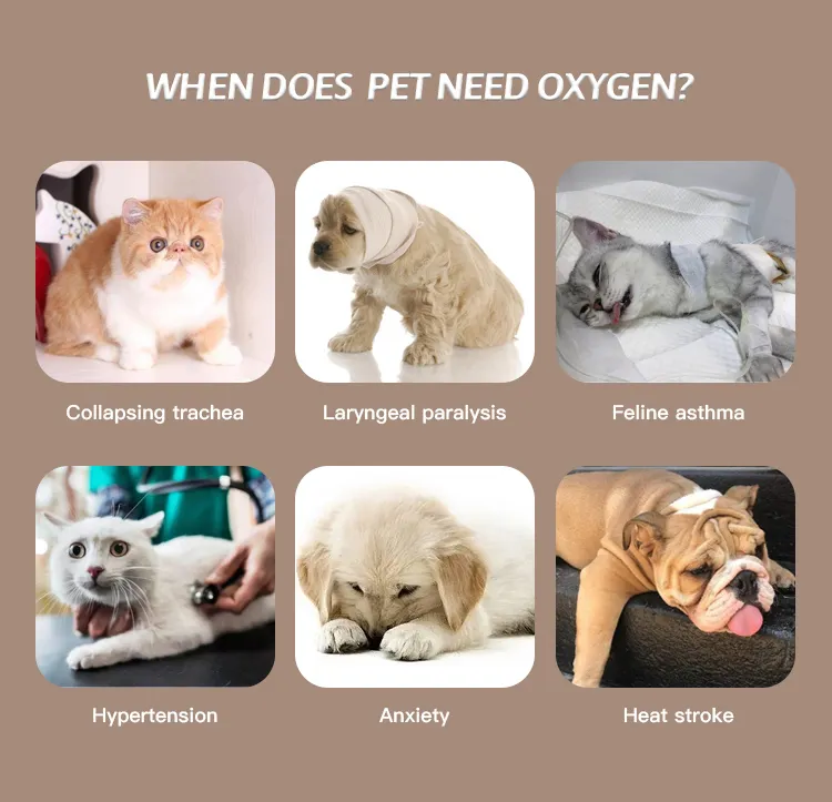 Oxygen Mask for Pets