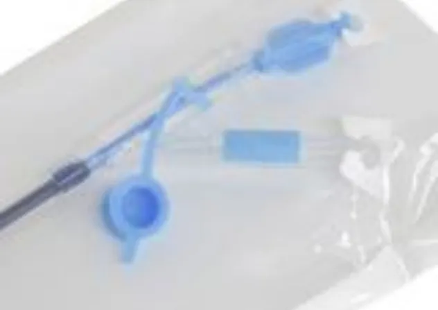 Ureteral Sheath Detail 1