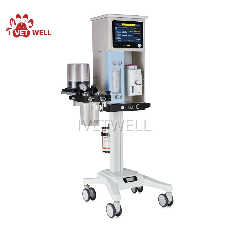 Veterinary Anesthesia Delivery System for Enhanced Patient Safety