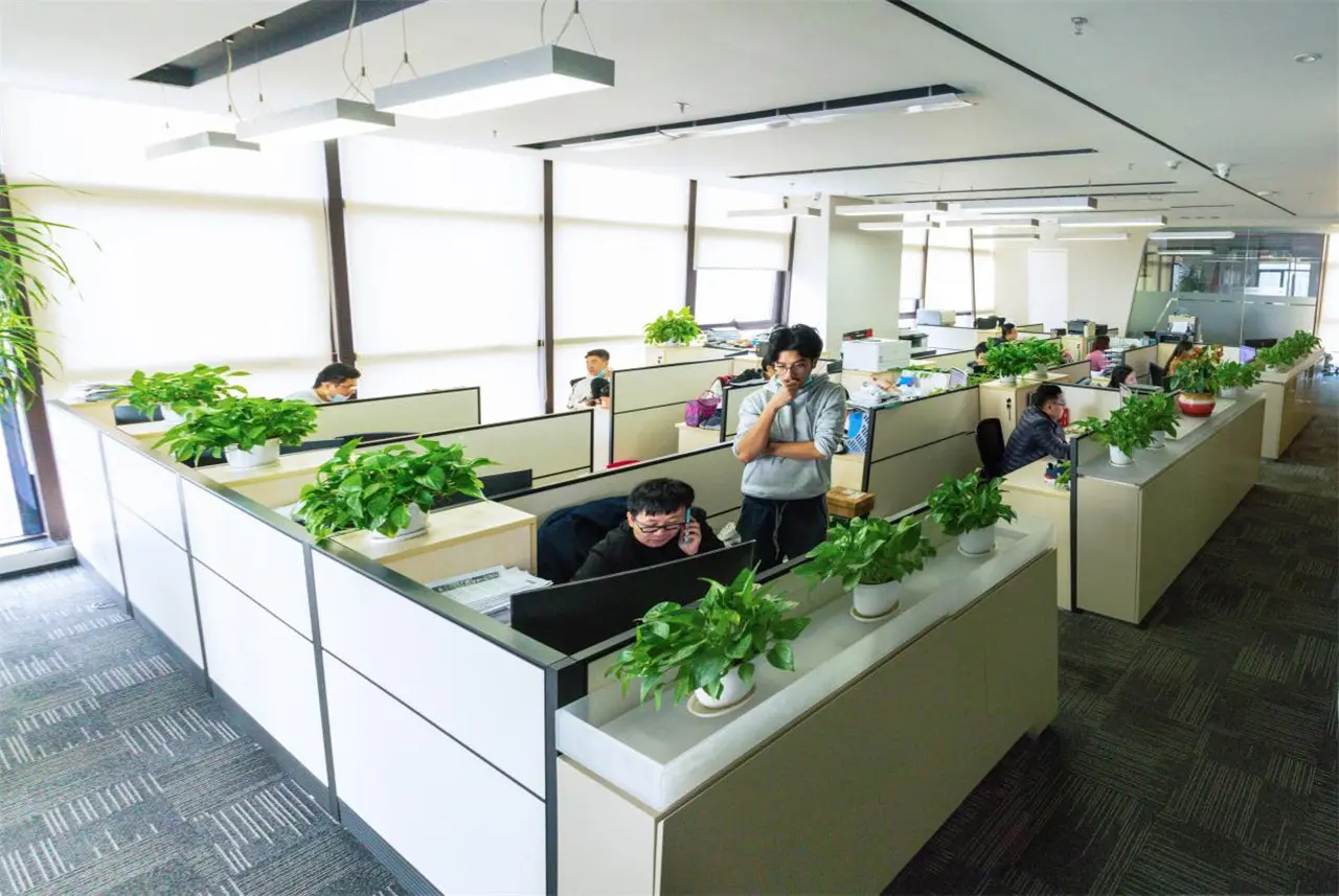 Modern Footwear Craftsmanship and Tooling