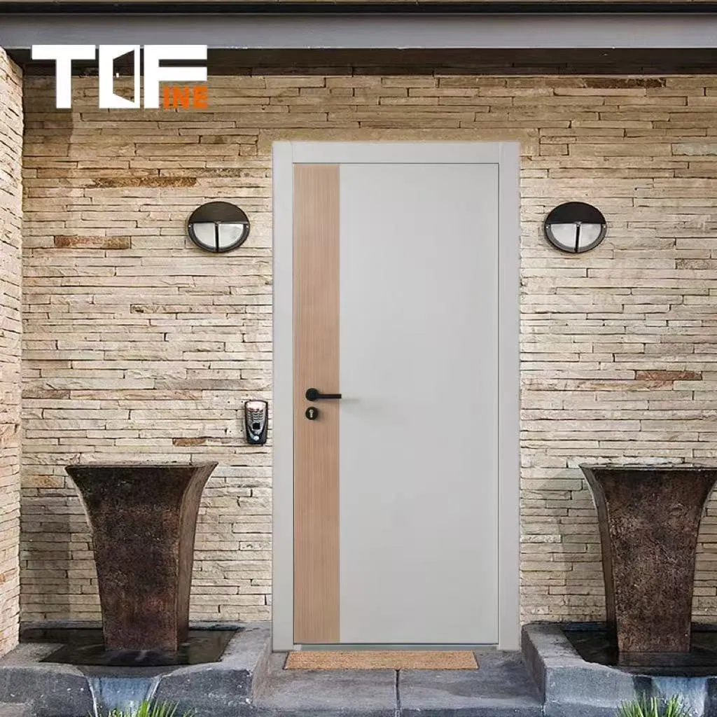 Entrada principal de lujo Seguridad exterior Puerta metálica