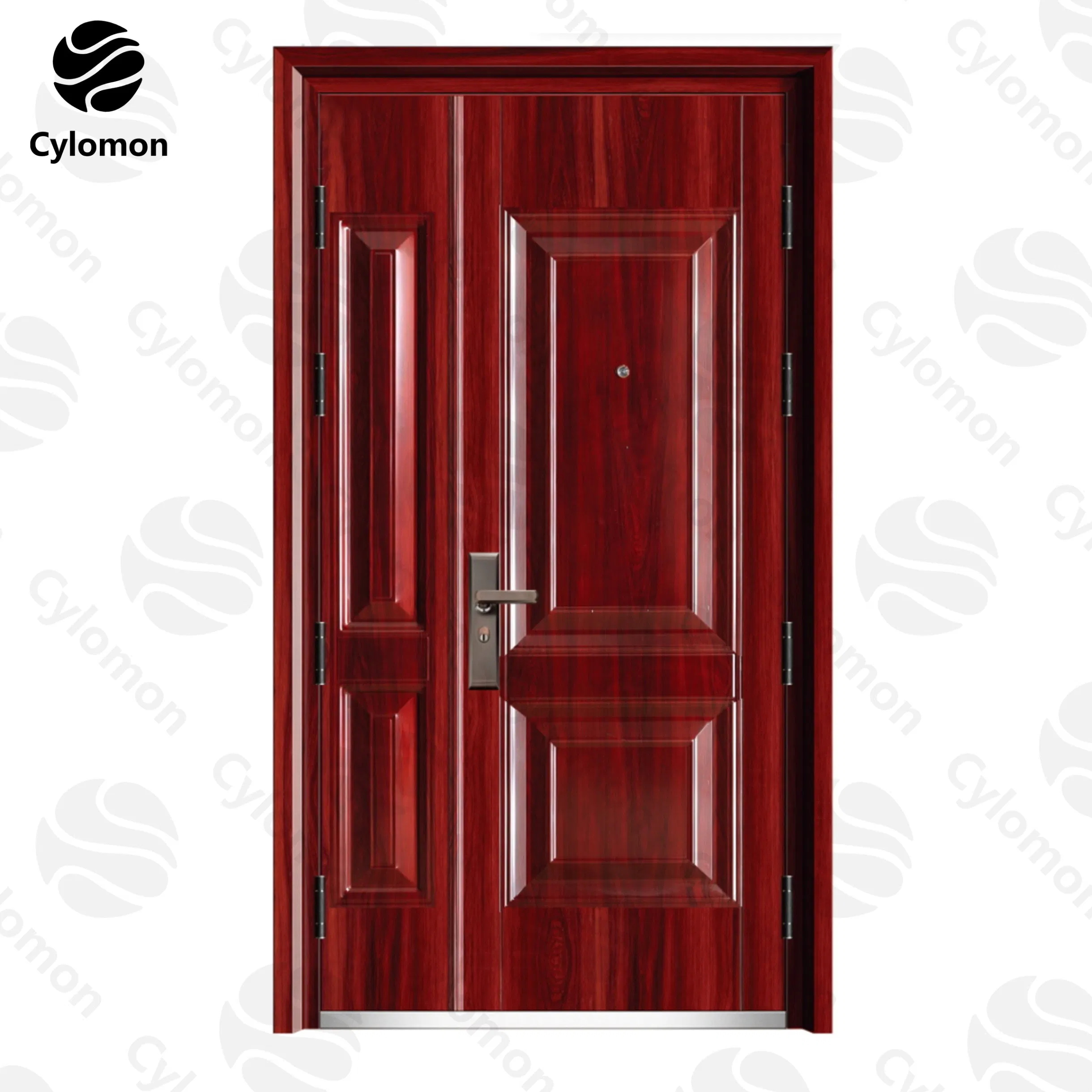 Steel Exterior Metal Front Fire Rated Door Stainless Interior Security Front Entrance Double Single Guangdong for African Market Exaggerated Copper Look Secure
