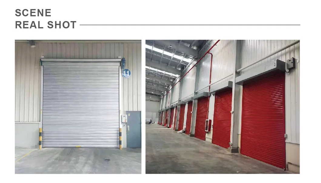 Galvanized Steel Door