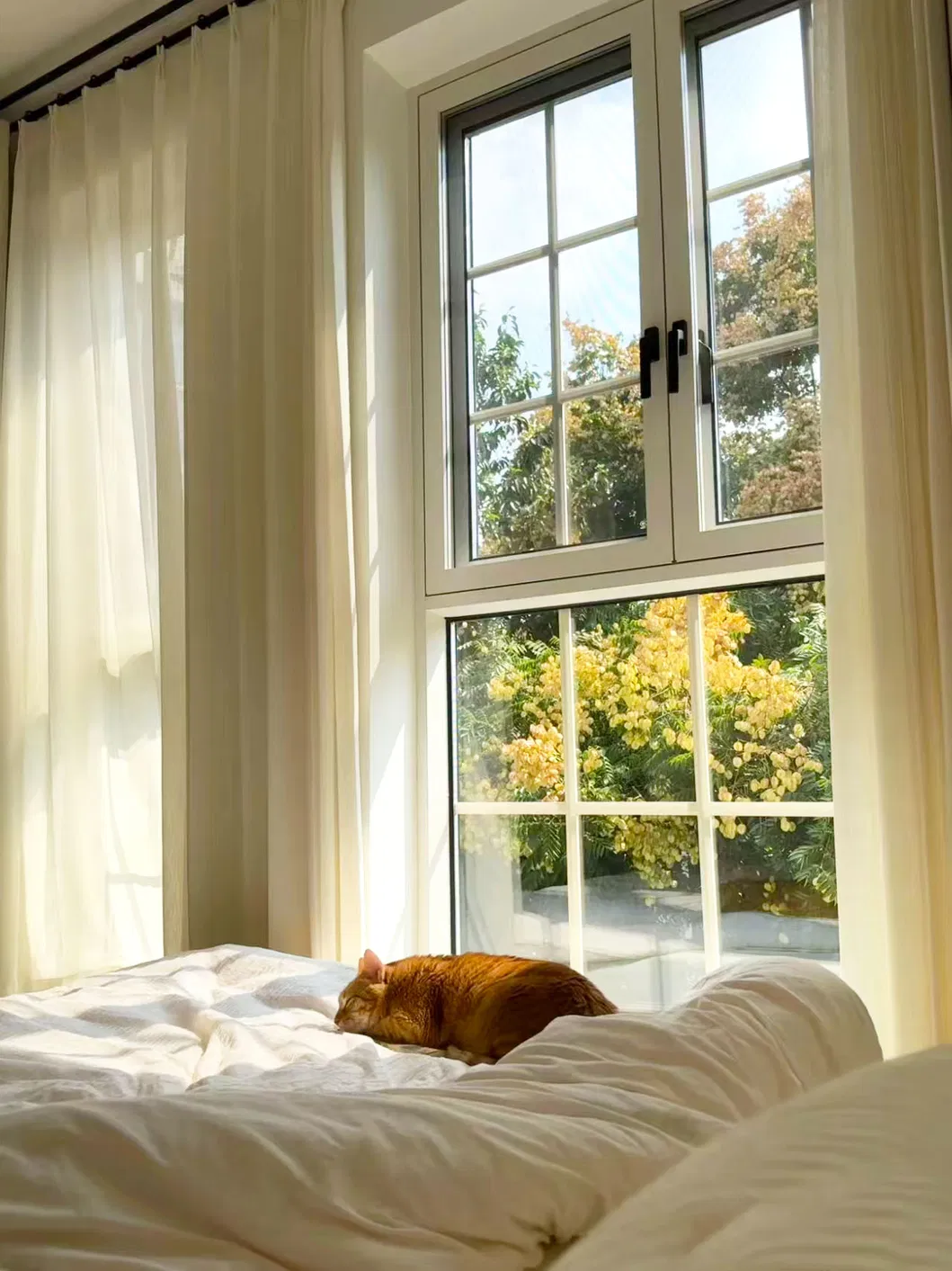 Aluminum Glass Window 1