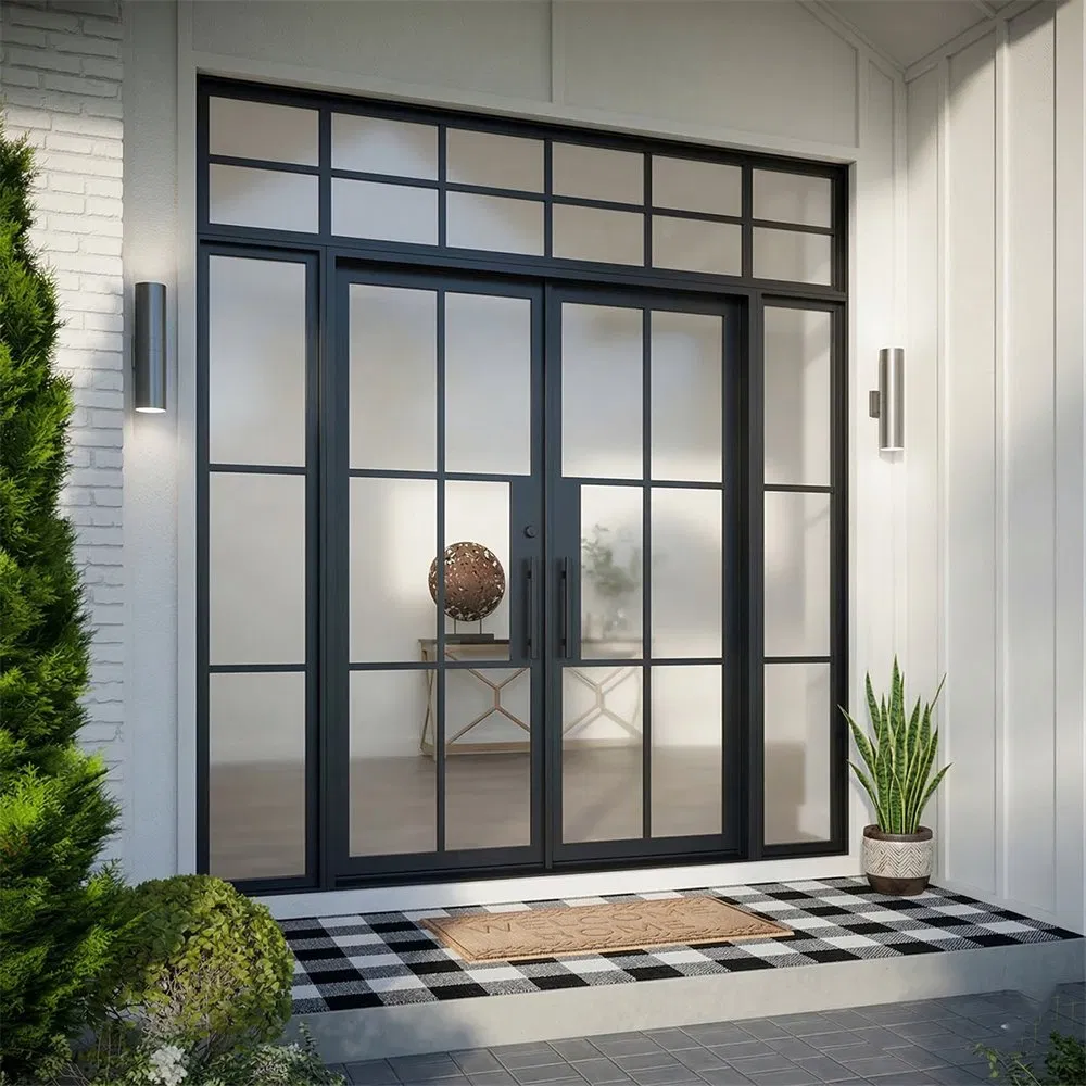 Anti-Rust Affordable Iron Door French Double Steel Glass Door for Residential Project Entrance