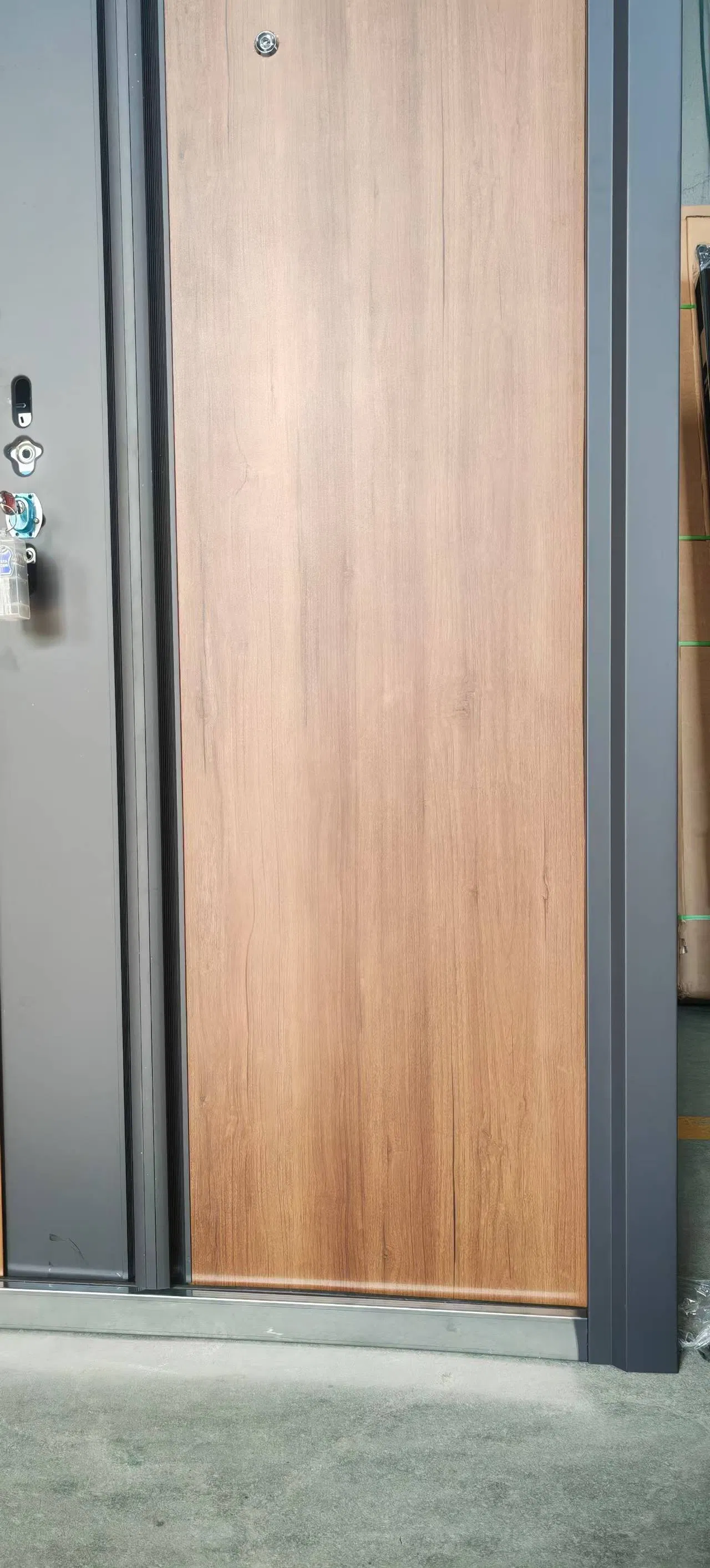 Puertas pivotantes de casas, entrada principal, exterior, seguridad, puertas de acero, puerta exterior