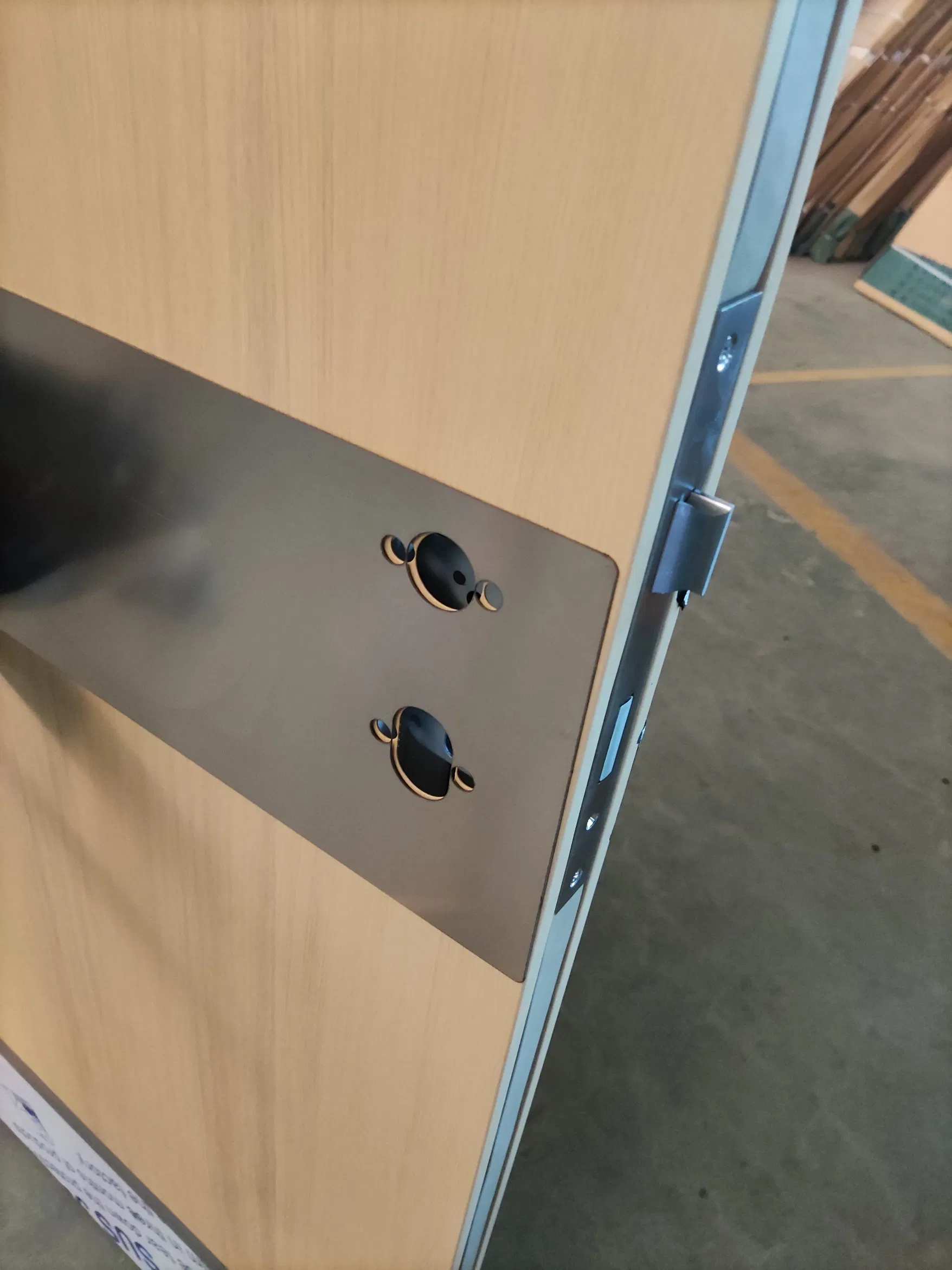 UL Fire Rated Steel Door with Wooden Color and S. S Plate