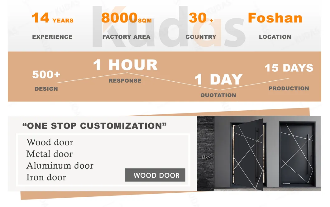 Modern Exterior Pivot Door