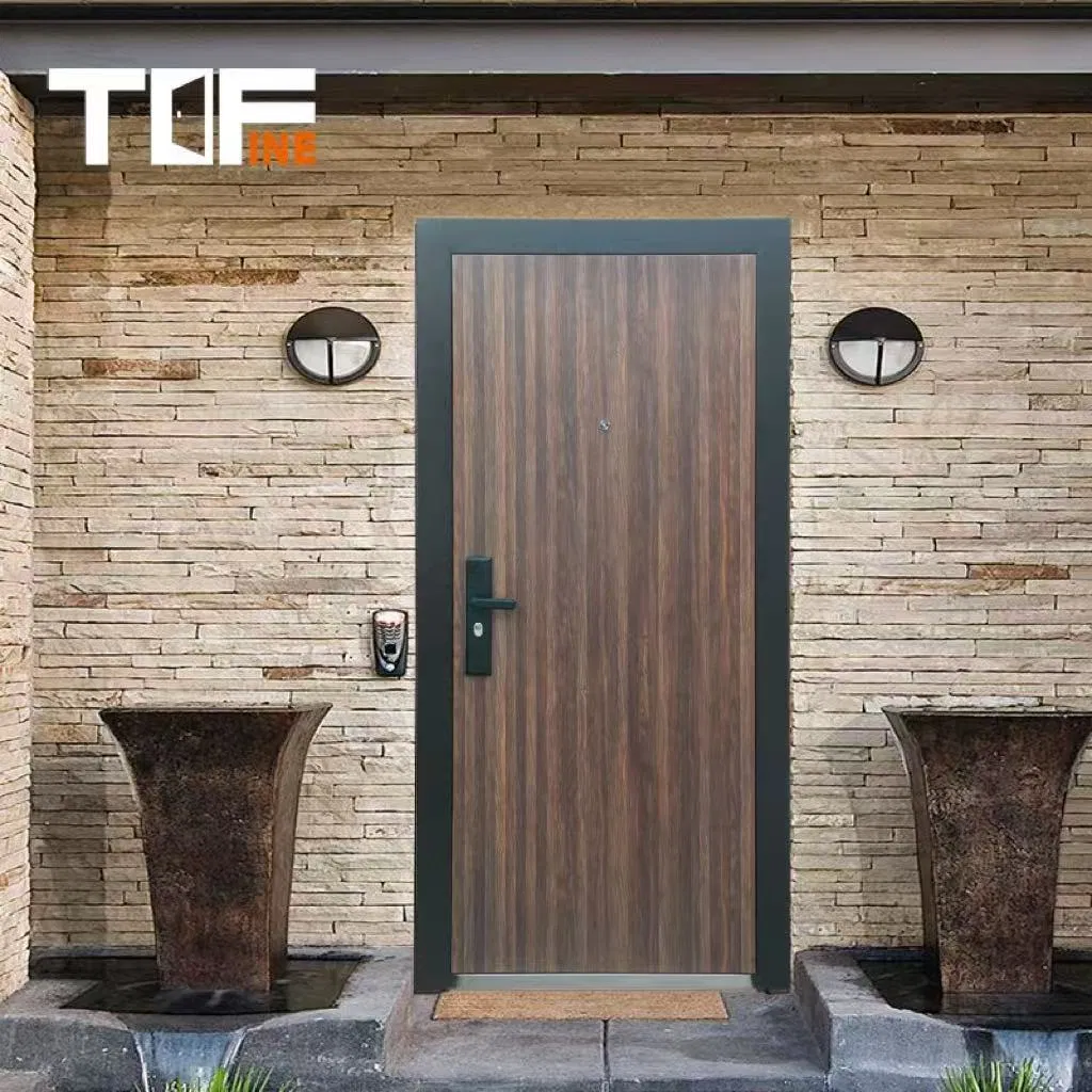Entrada principal de lujo Seguridad exterior Puerta metálica