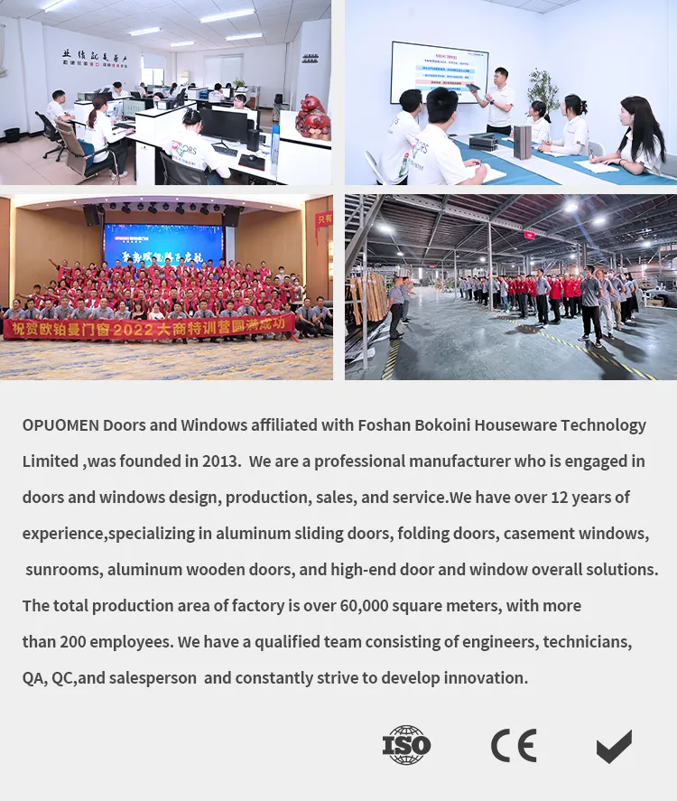 Aluminium Glass Door