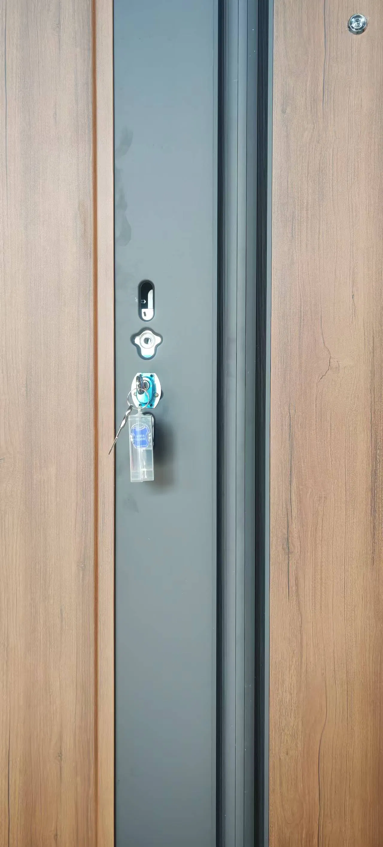 Puertas pivotantes de casas, entrada principal, exterior, seguridad, puertas de acero, puerta exterior