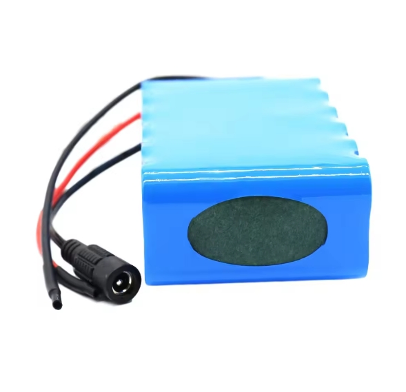 Inr18650-25r 6s2p 25.2V 5ah Li-ion Rechargeable Battery Pack with BMS for Small Electric Motorcycle Ebike