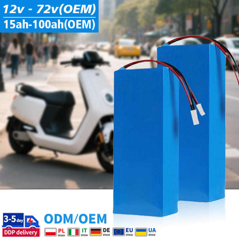 Customized LiFePO4 Lithium Battery 12V-48V 15ah-35ah Rechargeable Battery Pack for E-motorcycle E-Bike E-Scooter with 6000 Cycles