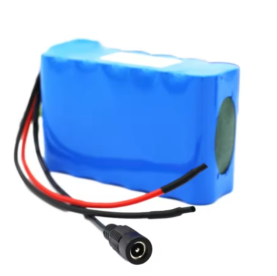 Inr18650-25r 6s2p 25.2V 5ah Li-ion Rechargeable Battery Pack with BMS for Small Electric Motorcycle Ebike