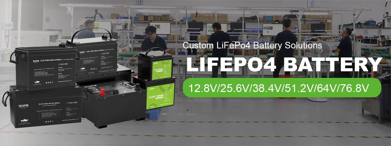 LiFePO4 Battery Series Banner