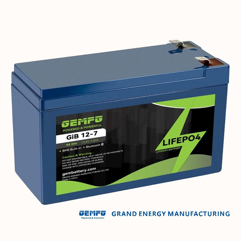 GEMFG High Standard 12V 20Ah LiFePO4 Lithium Iron Phosphate Battery 12Volts Battery