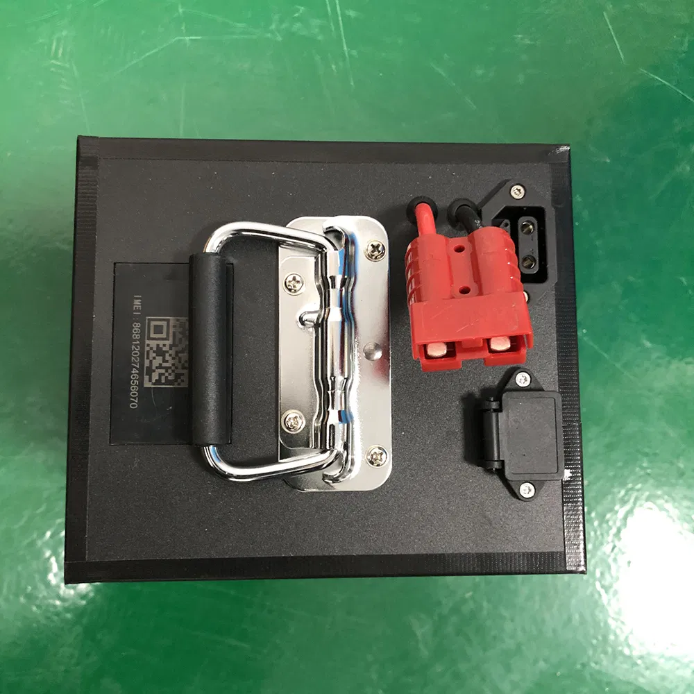 Lithium Ion Battery Detail