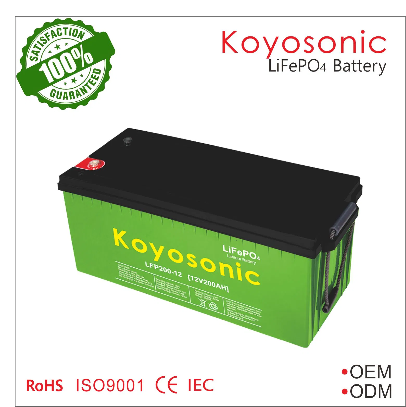 24V/25.6V 120ah 200ah Deep Cycle LiFePO4 Lithium Battery with BMS for Solar Energy Storage