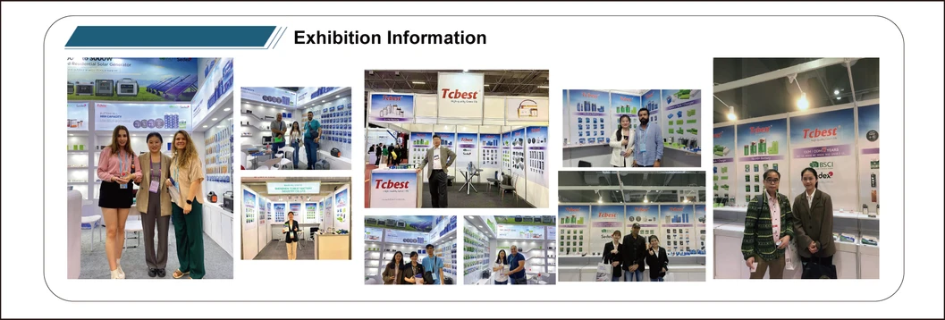 Global Exhibition