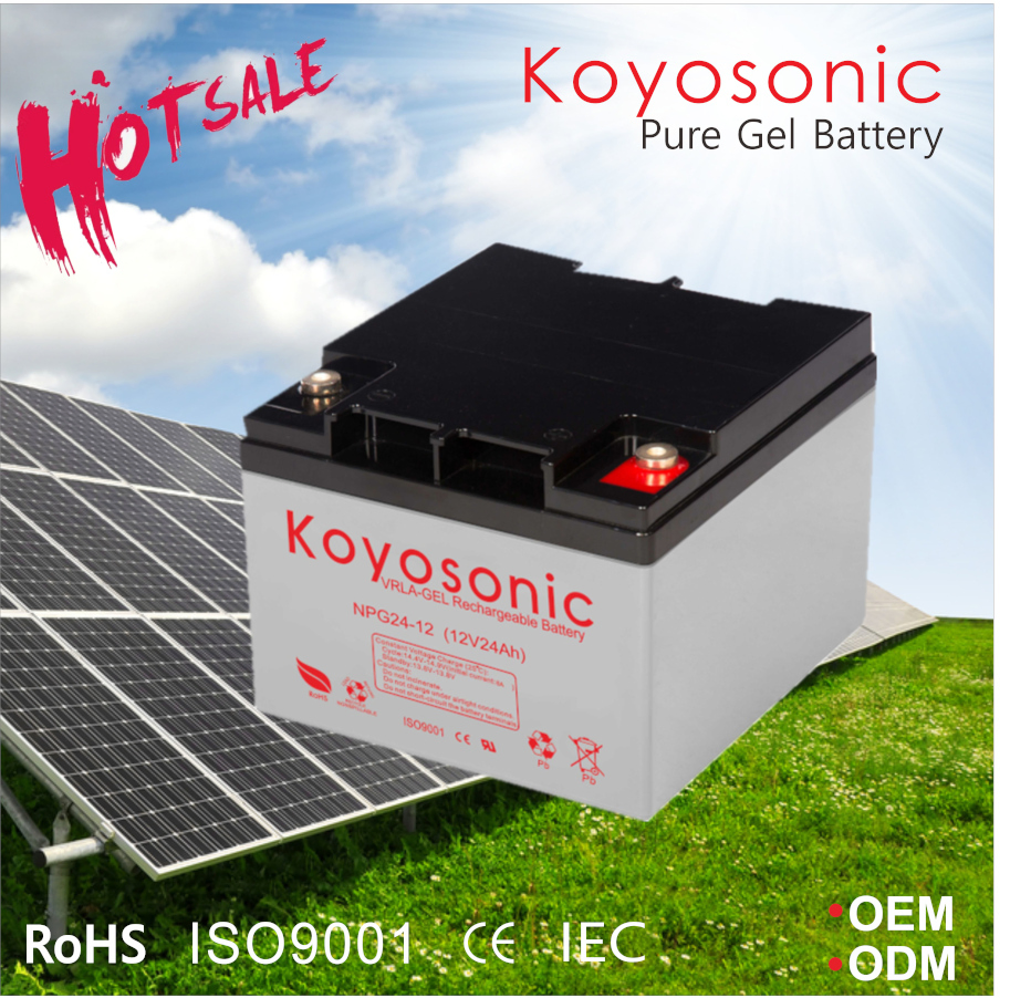 Koyosonic 200ah Battery Gel Battery Deep Cycle Battery with 3000 Cycles