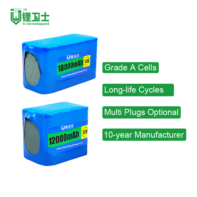 Lws 36V Lithium Ion for Ebike 48 Volt Battery Pack