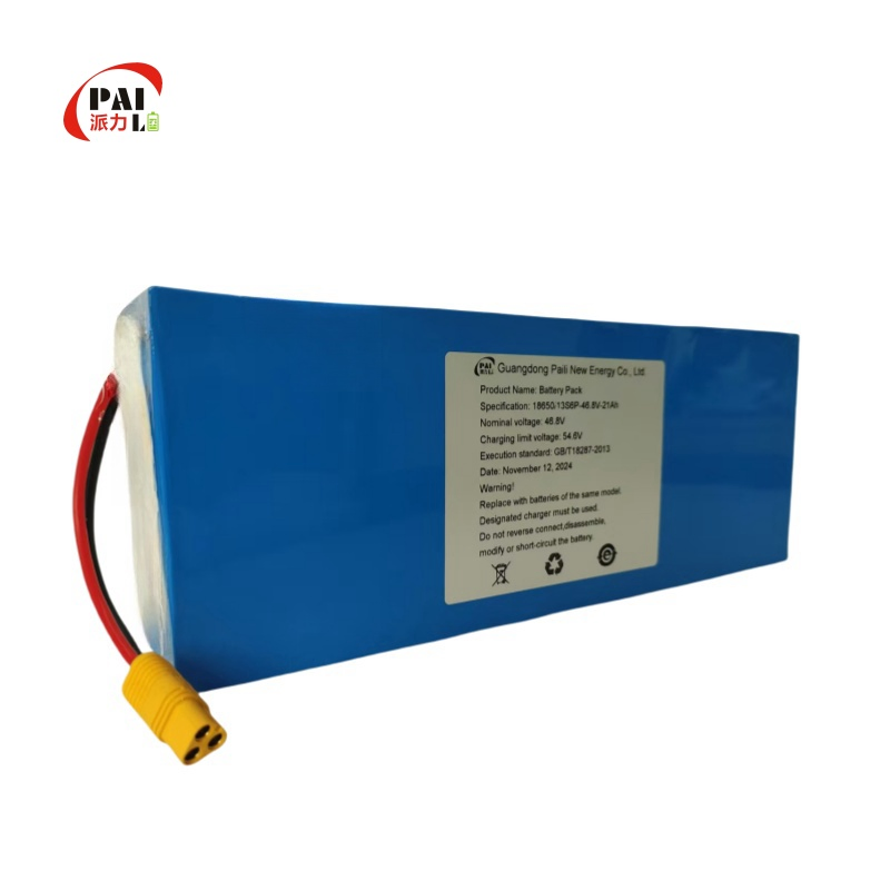 Customized 36V 48V 15ah 20ah Electric Bike Scooter Lithium Ion Battery Pack