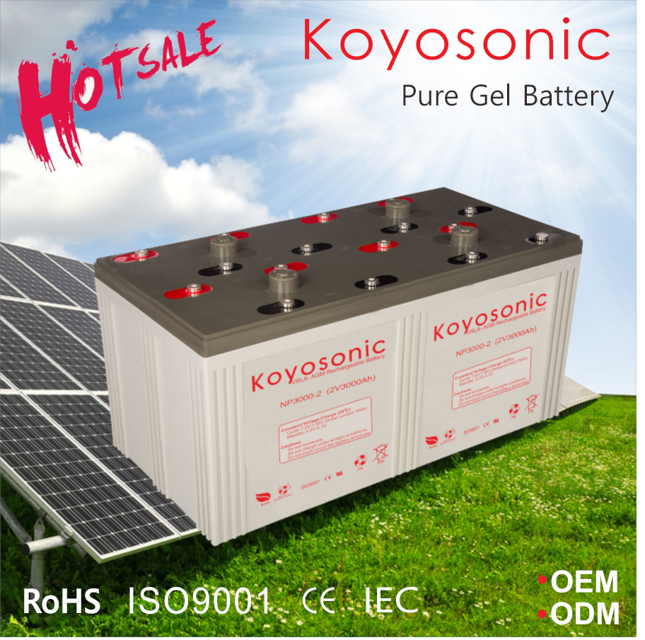 Koyosonic 200ah Battery Gel Battery Deep Cycle Battery with 3000 Cycles