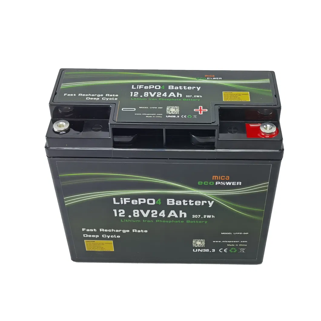 Lithium Iron Phosphate Battery Pack