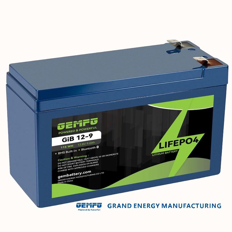 GEMFG High Standard 12V 20Ah LiFePO4 Lithium Iron Phosphate Battery 12Volts Battery