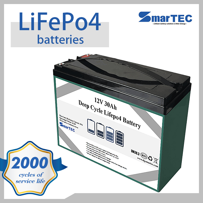 High Quality Li-ion /LiFePO4 Battery 12V 30ah Deep Cycle Lithium Iron Phosphate Battery with Battery Manament System