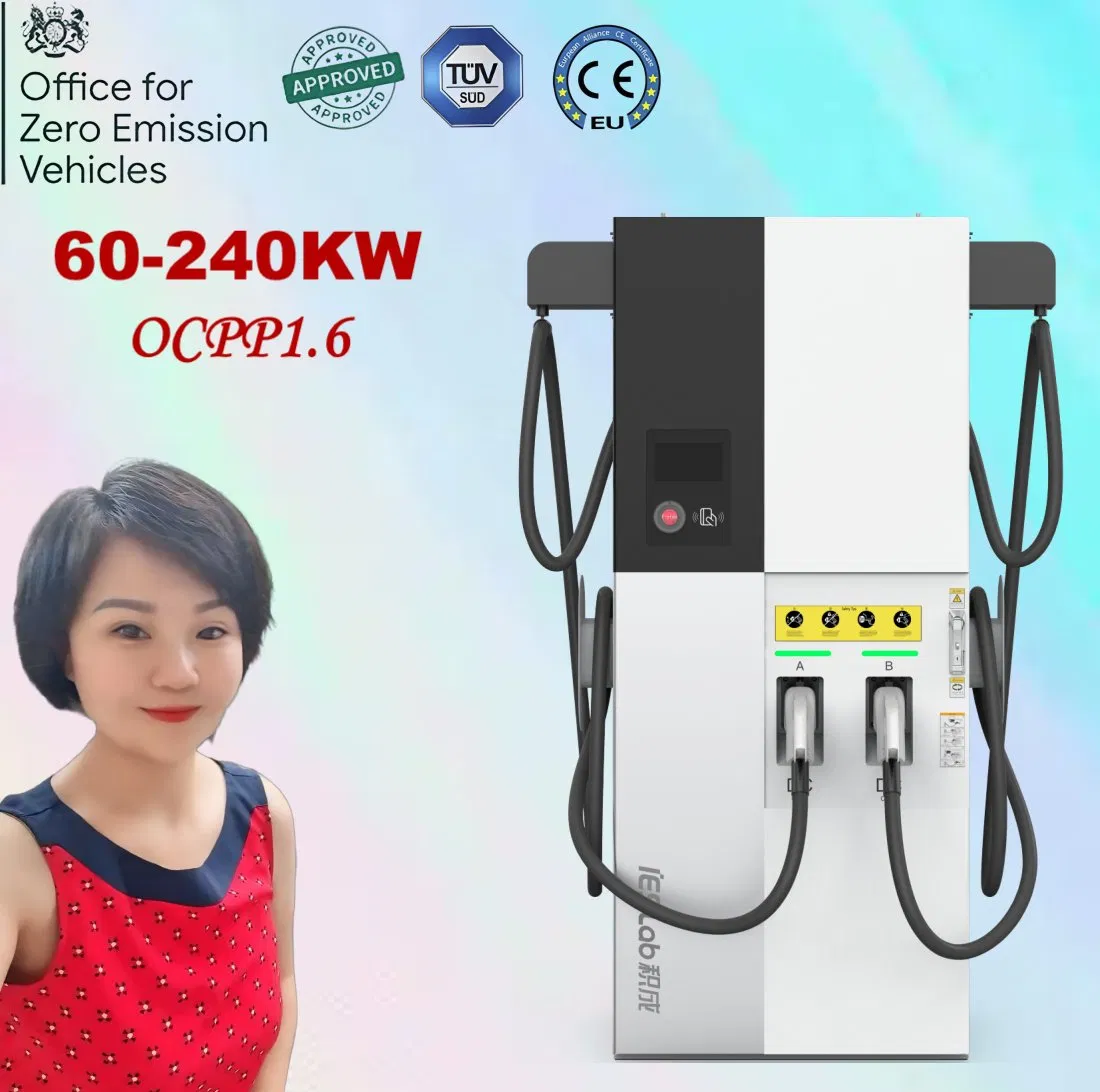 Commercial Public Use CCS2 Gbt 60kw 80kw 120kw 160kw 180kw 240kw Electric Vehicle Car Battery Fast DC EV Charge Charging Solution with Ocpp CE for EV Car
