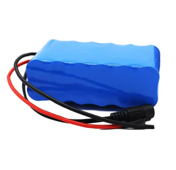 Inr18650-25r 6s2p 25.2V 5ah Li-ion Rechargeable Battery Pack with BMS for Small Electric Motorcycle Ebike