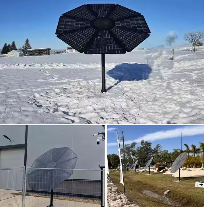 off/on Grid Solar Backup Battery Power Charging Solar Sunflower System for Home