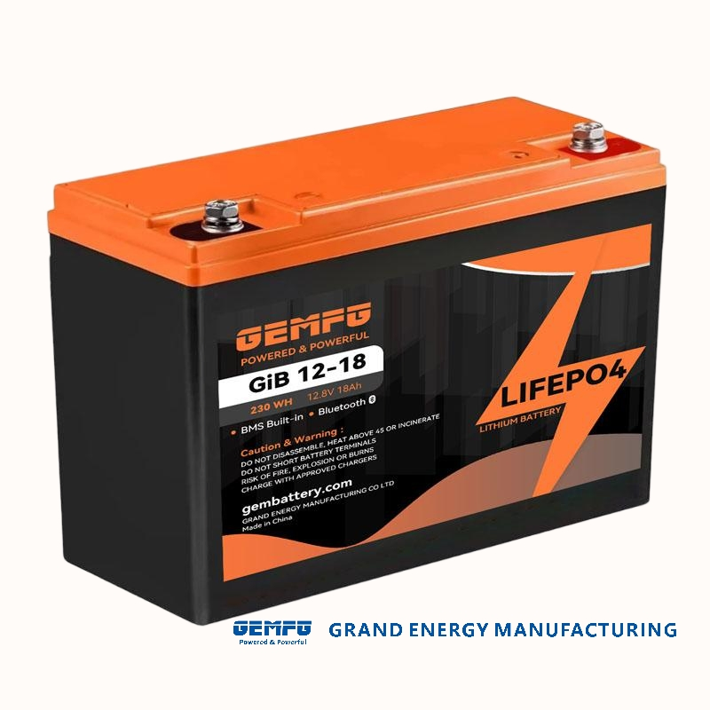 GEMFG High Standard 12V 20Ah LiFePO4 Lithium Iron Phosphate Battery 12Volts Battery