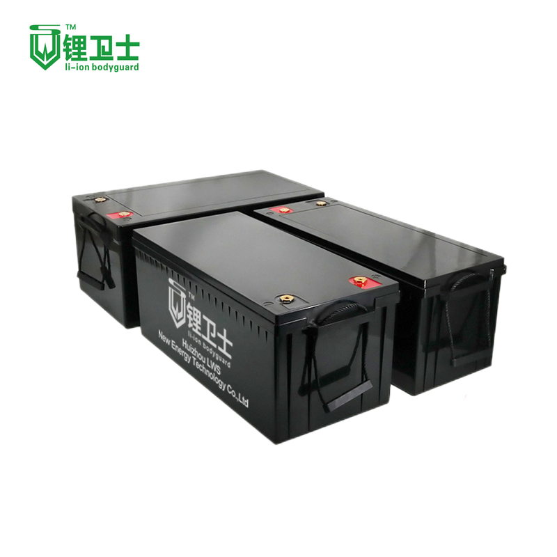 Lws 12V 50ah 100ah 200ah 300ah 400ah LiFePO4 Battery Pack for Solar System RV Electric Car Scooter Motorcycle Boat