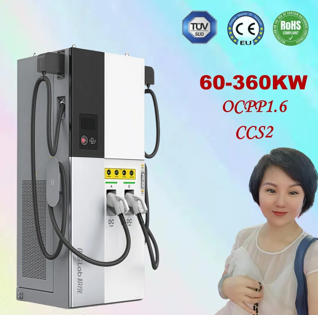 60kw 80kw 120kw 160kw 240kw 320kw 360kw Electric Vehicle Car Battery Fast DC EV Charger Charging Solution with CCS Gbt Connector Ocpp1.6