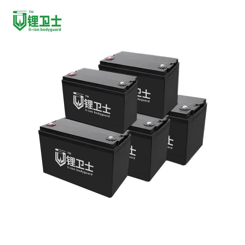 Lws 36V Lithium Ion for Ebike 48 Volt Battery Pack