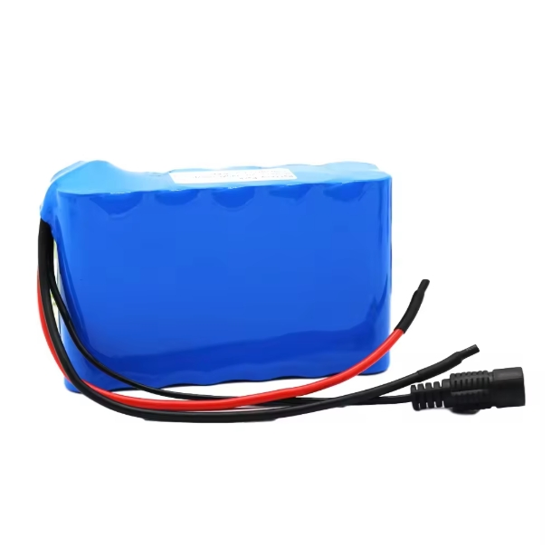 Inr18650-25r 6s2p 25.2V 5ah Li-ion Rechargeable Battery Pack with BMS for Small Electric Motorcycle Ebike